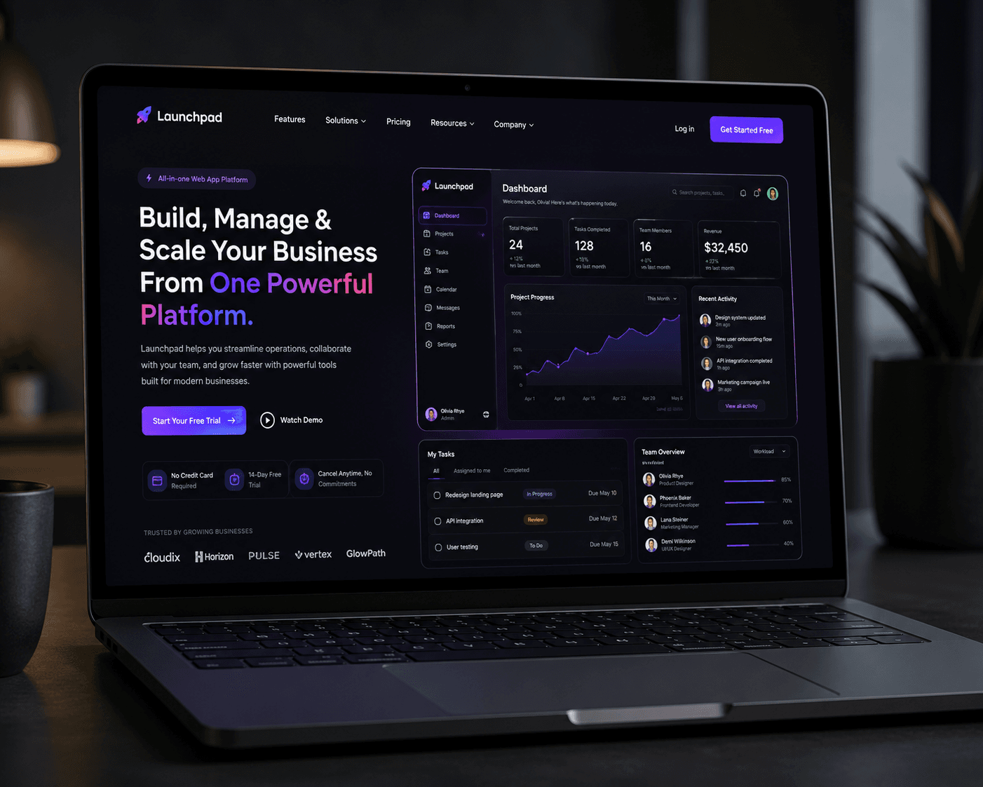 Web App Development service